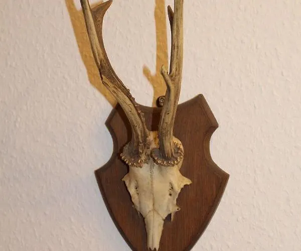 Ferienwohnung-villa-helene *